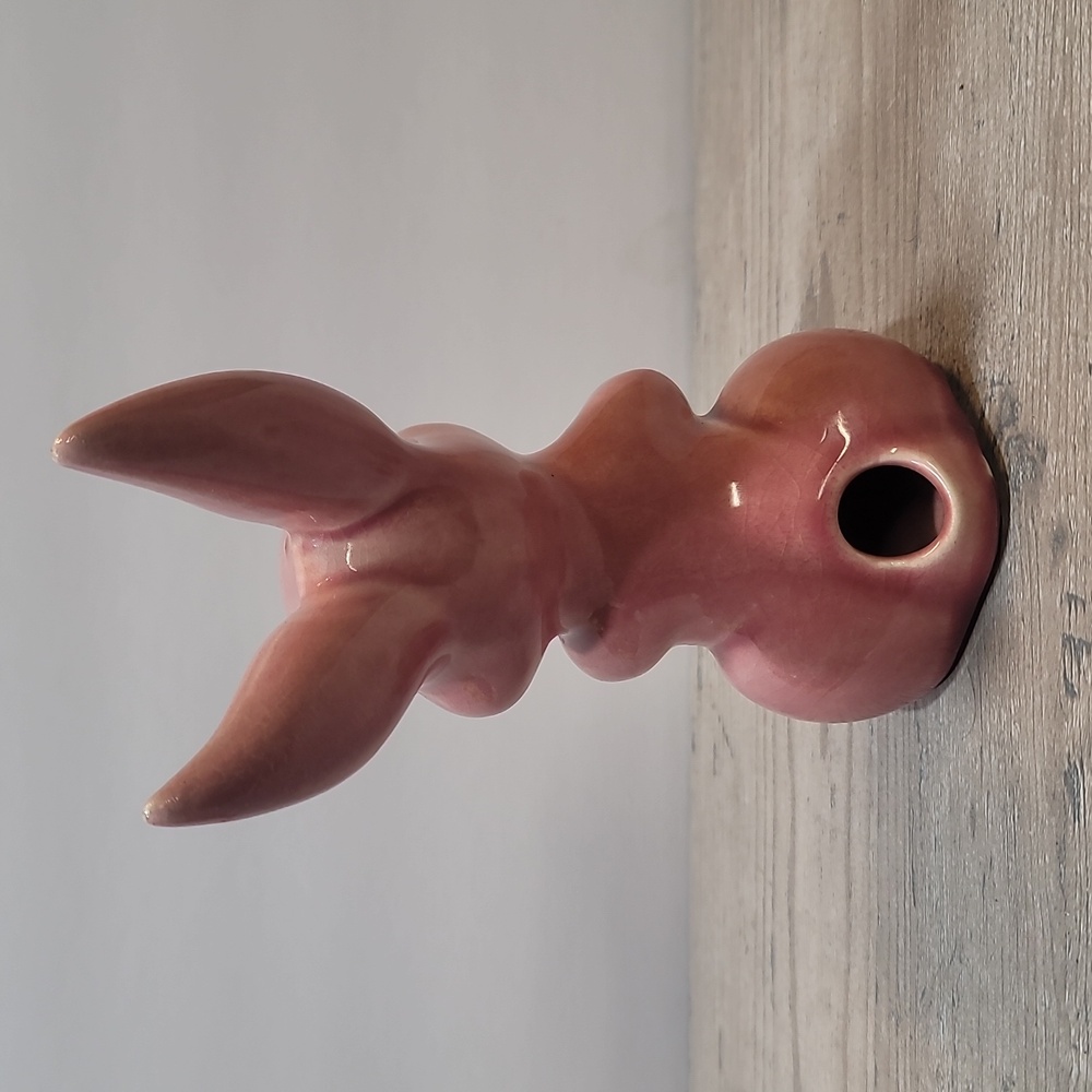 Red Rabbit - Picture 2 of 6